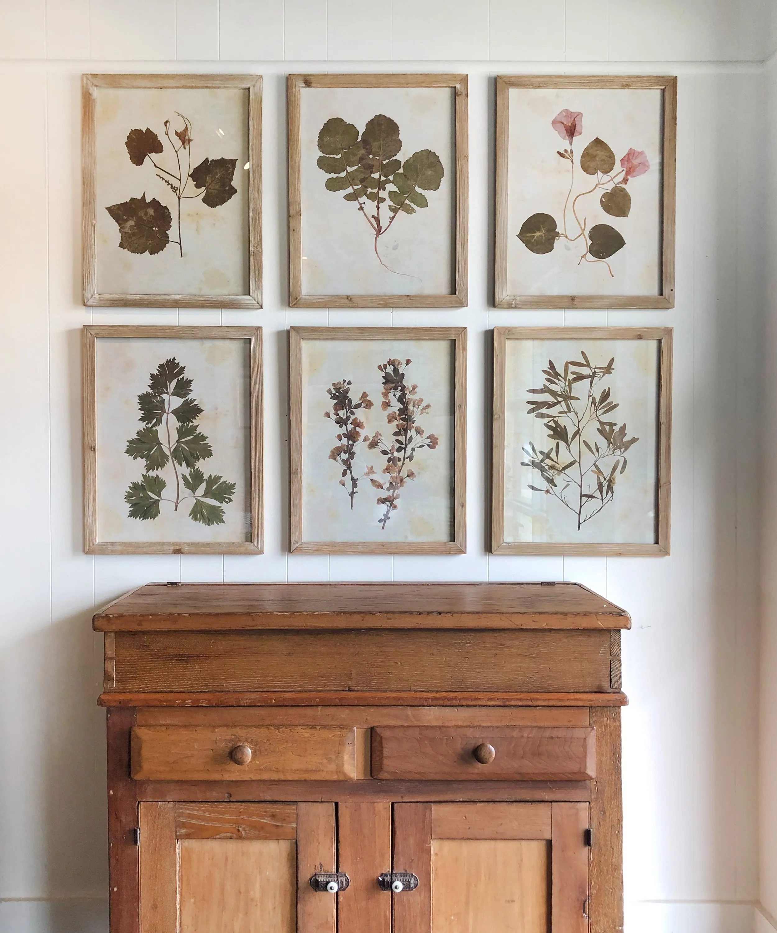 Pressed Wildflower Botanical Print, No. 4