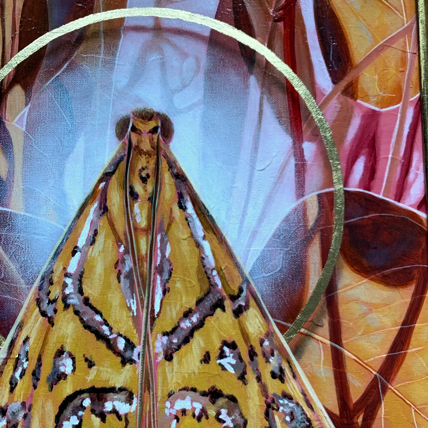"Gossamer" Magdalena Moth Painting 11x14