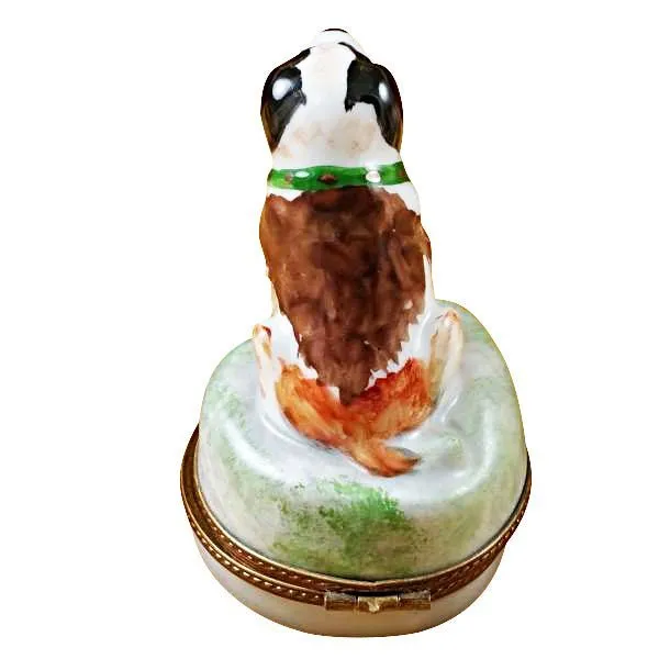 Saint Bernard