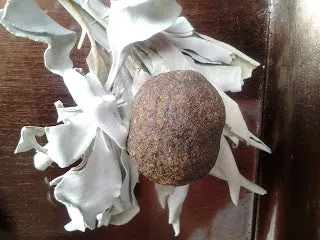 SASTUN - Natural Botanical Perfume - The Sacred Stone