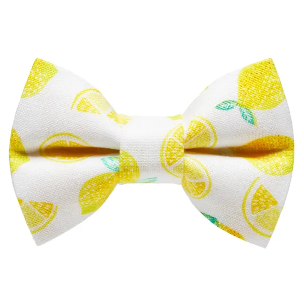 Sweet Pickles Designs Bow Tie The Main Squeeze