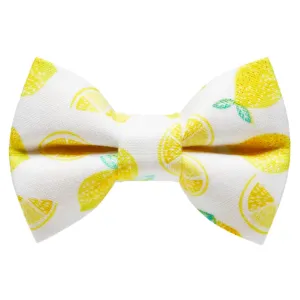 Sweet Pickles Designs Bow Tie The Main Squeeze
