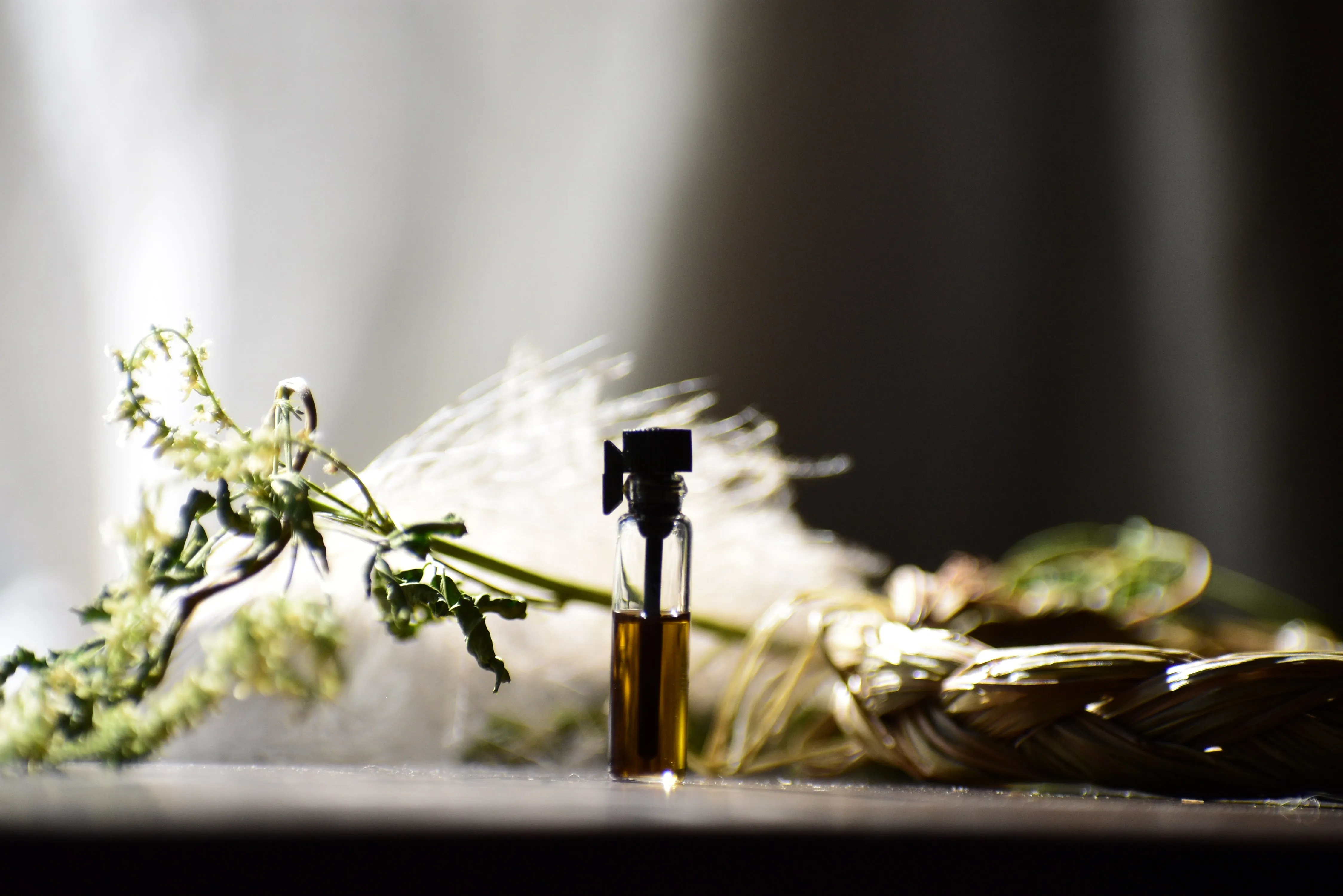 THE HEALER | ARCHETYPE SERIES | botanical perfume | sweetgrass, orange blossom, mitti attar