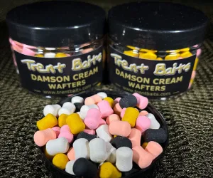 Trent Baits Damson Cream 8x12mm Dumbell Wafters (Mixed Colours)