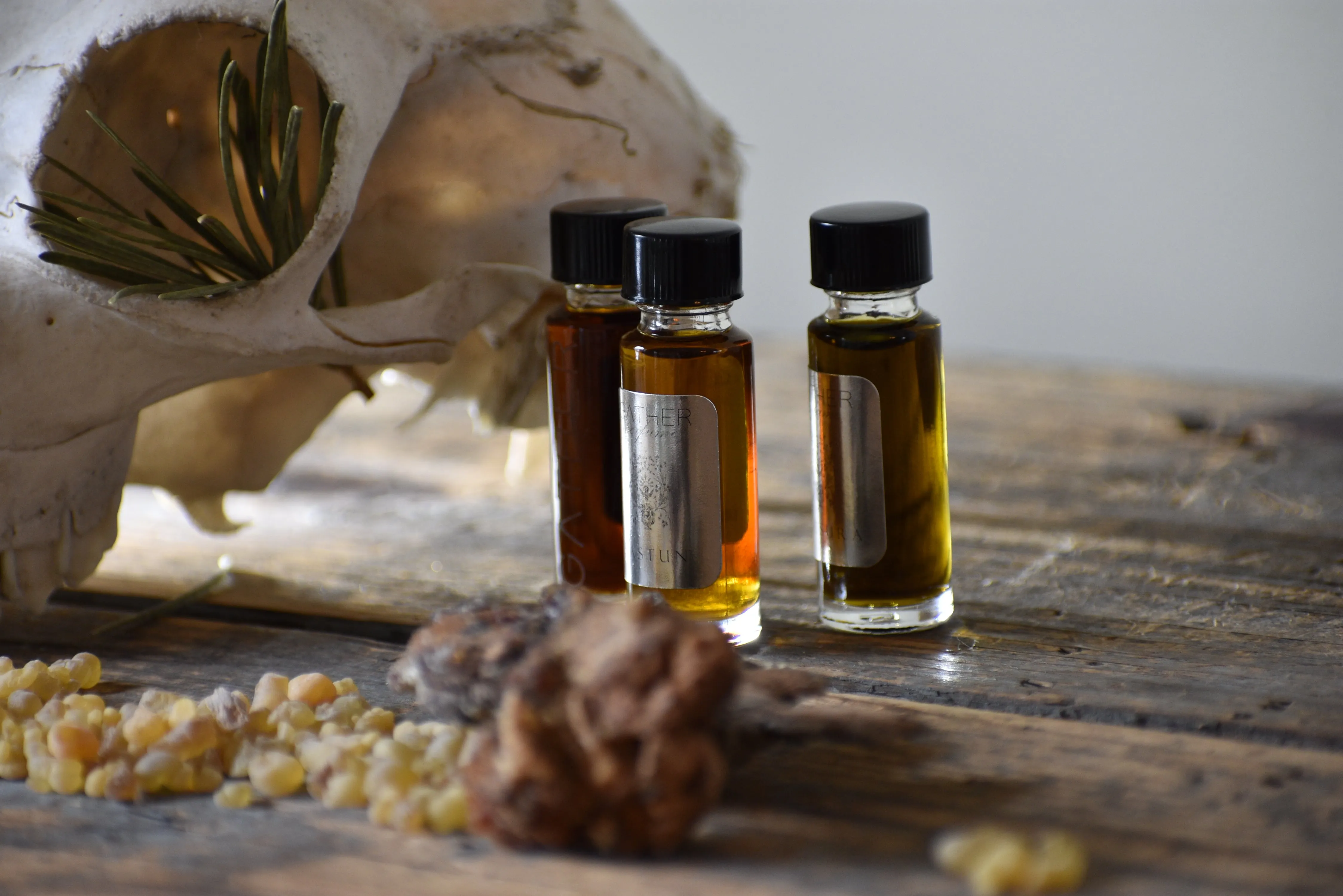 UNDERSTORY - Natural Botanical Perfume - Forest Renewal
