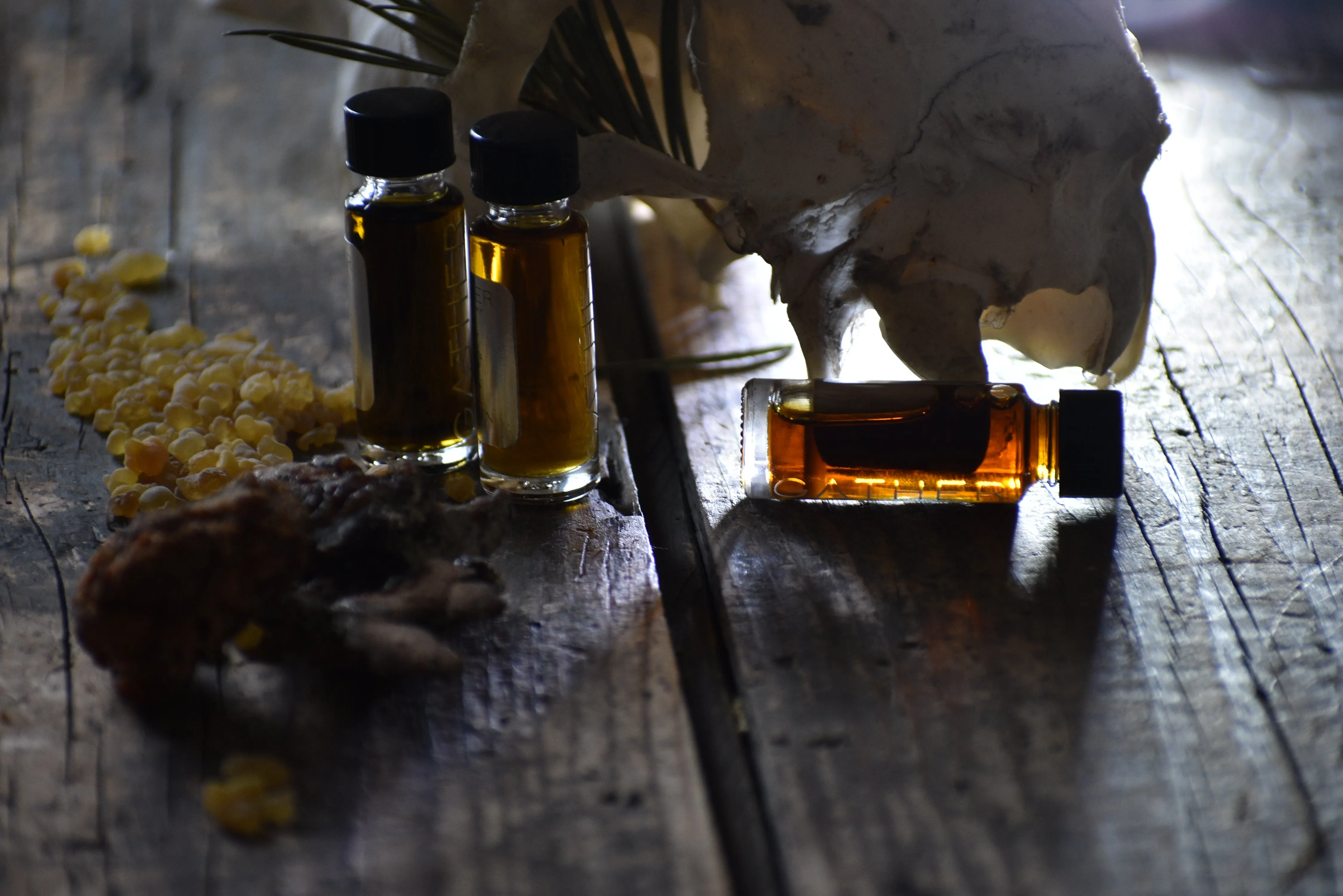 UNDERSTORY - Natural Botanical Perfume - Forest Renewal