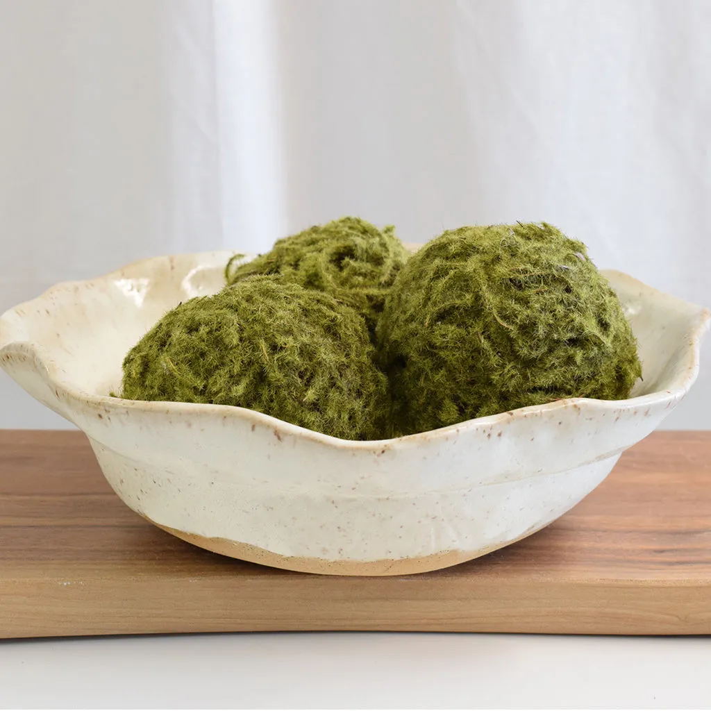 Vegetable Bowl Dogwood
