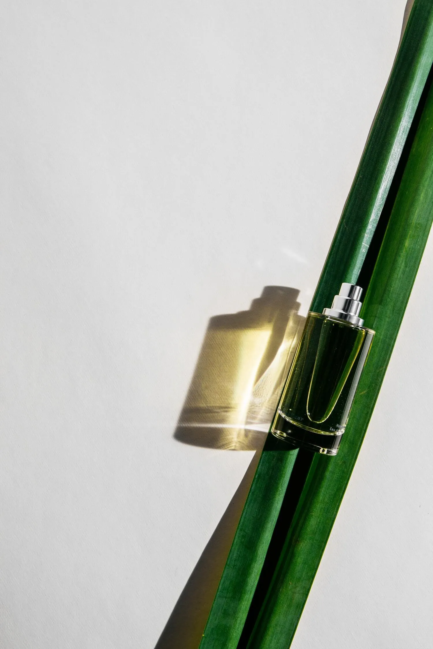 White Vetiver by Abel