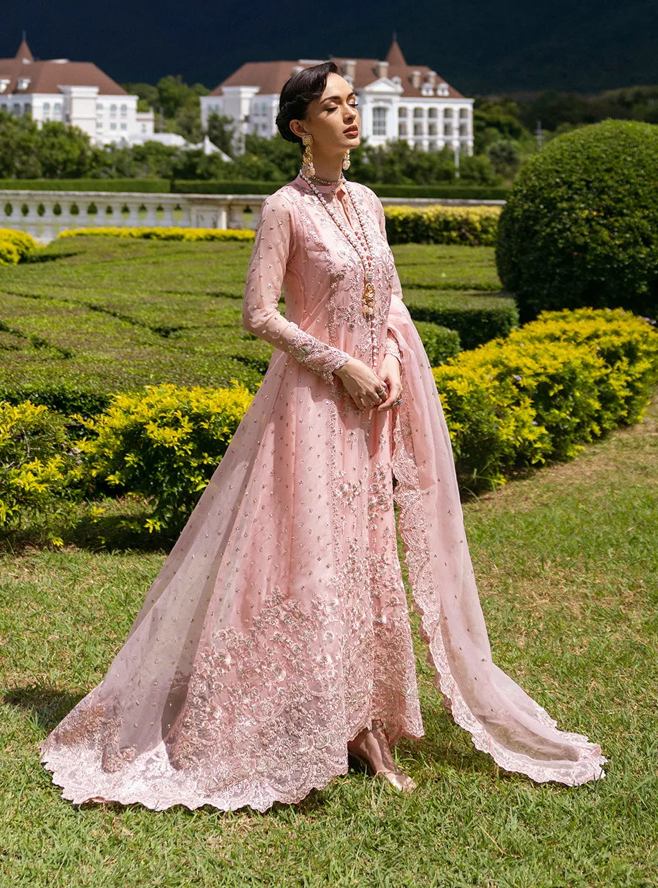ZAINAB CHOTTANI WEDDING FESTIVE '24 | ROSEA